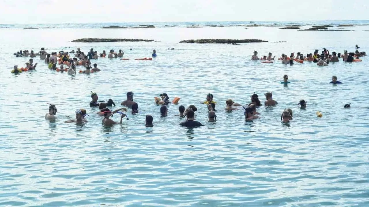 Maragogi Beach: natural pools