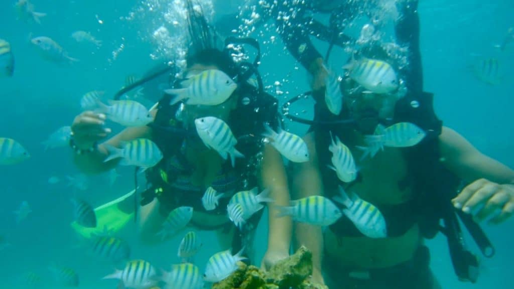 Deep sea Scuba diving in Porto de Galinhas, Pernambuco