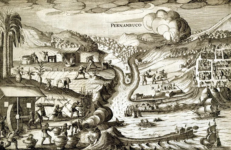 A história de Porto de Galinhas: Colonização de Pernambuco