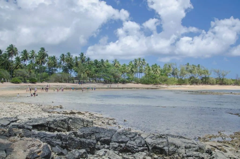 Azul-claro das águas da baía Ilha de Santo Aleixo Pernambuco