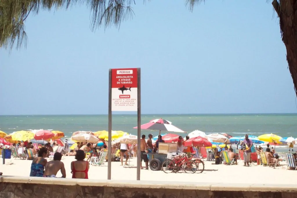 Boa Viagem Beach: Shark attack sign in Recife Pernambuco