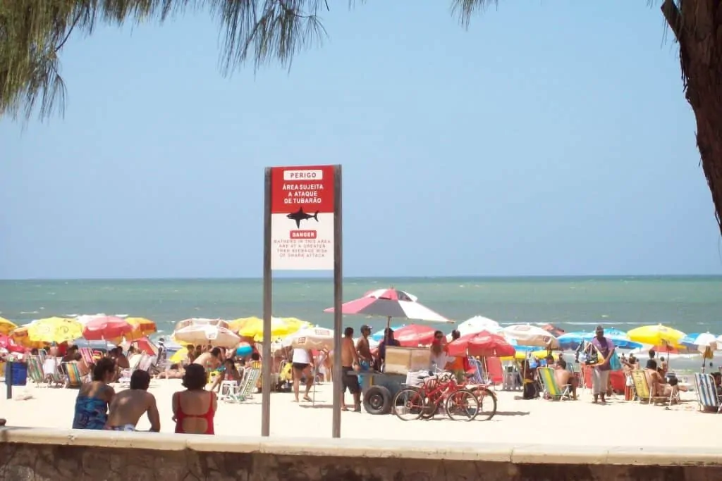 Playa Boa Viagem: Cartel de tiburones en Recife Pernambuco