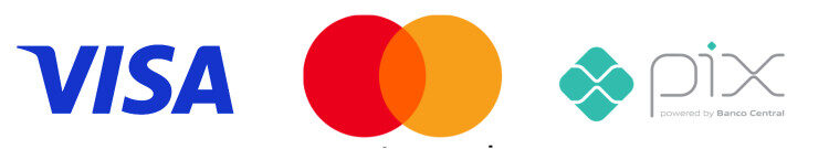 logo medios pago brasil