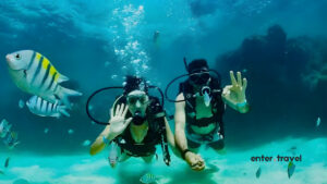 Couple of divers waving underwater surrounded by tropical fish in Porto de Galinhas